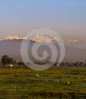 In the land of Meghamalla, there is a mountain game and a fair of green nature