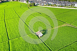 Land plot and green field in aerial view