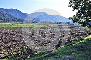 Land plot  for sowing photo