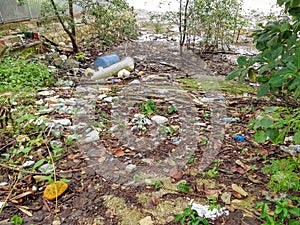 Land pollution caused by litter