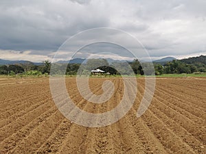 land preparation for new crop season, scenery of agriculture field