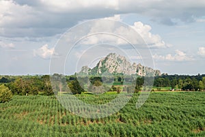 Land scape field and mountain