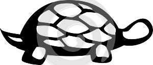 Land or sea turtle vector illustration