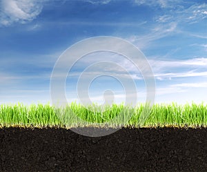 Land with soil,grass and blue sky.
