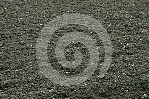 Land sown area, spring planting crop