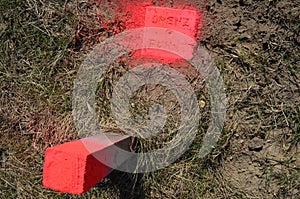 Land survey. Boundary stone marked with neon colour