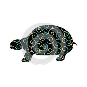 Land turtle reptile color silhouette animal