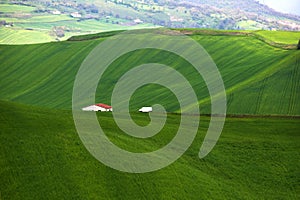 Bianco casa verde colline 