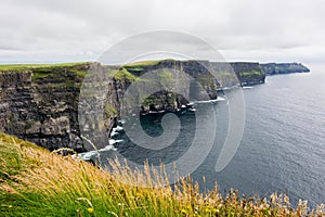 Landascapes of Ireland.  Cliffs of moher photo