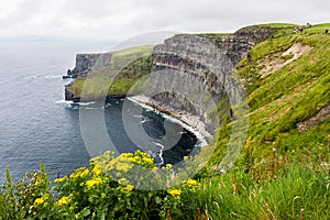 Landascapes of Ireland.  Cliffs of moher photo