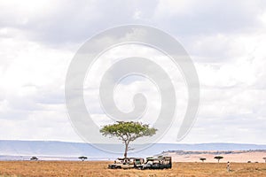 Landcruiser Wildlife Animals Mammals at the savannah grassland wilderness hill shrubs great rift valley maasai mara national game