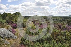 Landes de Liscuis at Bon Repos sur Blavet in Brittany