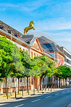 Landesmuseum in Mainz, Germany