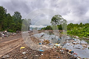 Landfill or dump household garbage and trash in the dirty water that are contaminating and poisoning environment in the forest.