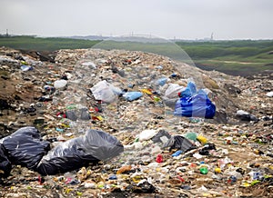 Landfill with garbage piles in trash dump.