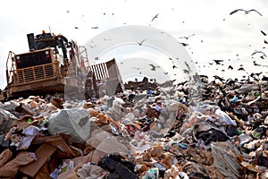 Landfill truck in trash photo