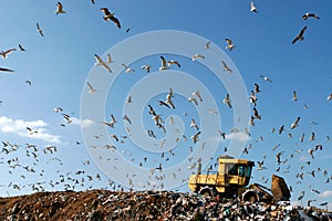 Landfill Working