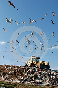 Landfill Working