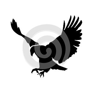 Landing flying eagle black silhouette illustration isolated - PNG