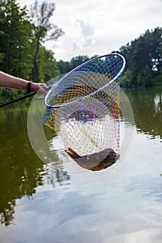 Landing net with caught fish