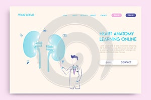 Landing page Online doctor concept. Experts advise kidney anatomy.