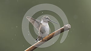 Landing on a Rainy Day