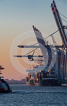 Landing stage and the harbor in Hamburg - Hamburg harbor