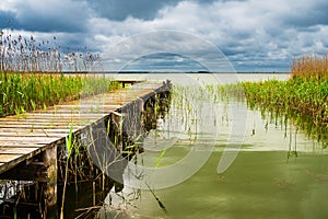 Landing stage on a lake with reeds