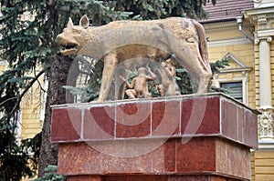 Landmark attraction in Brasov, Romania. Statue Capitoline wolf with Remus and Romulus, in front of the Town Hall