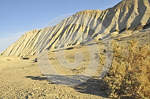 Landmark Borax Trail in Desert