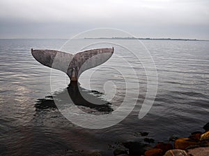 Landmark of Fabborg in Denmark - The whale tale in the ferry port