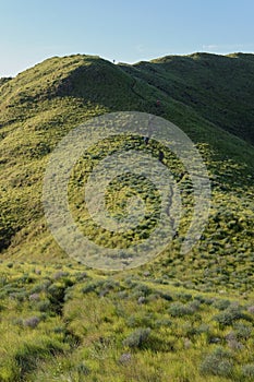 Landmark view of `Gili Lawa` with green savanna grass and blue sea in an evening, Komodo Island Komodo National Park, Labuan Baj