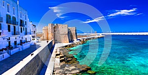 Beautiful Monopoli town,view with old castle,Puglia. photo