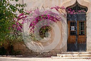 Jardín en Argelia 