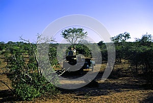 Landrover Safari  51615