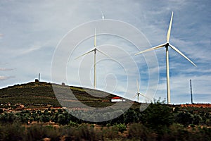 In the lands of Castille. Wind mills