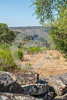 Lands overlooking rivern canyon