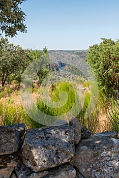 Lands overlooking rivern canyon