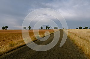 Lands of zamora (spain)