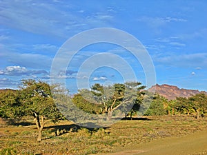 Landscape of Africa, Mali