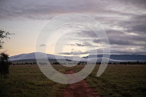 Landscape in Africa, savannah on a safari. Views of Kenya and its wildlife. Panorama, sunrise, mountains, clouds and animals