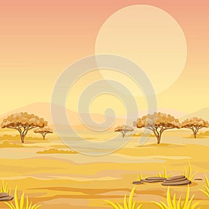 Landscape of the African savanna.