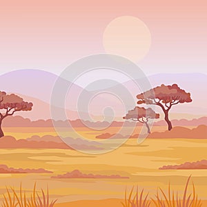 Landscape African savanna. Sunset. The place for the text.