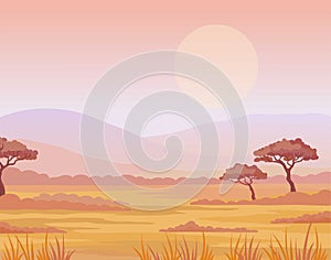 Landscape African savanna. Sunset. The place for the text. photo