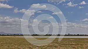 Landscape of the African savannah.