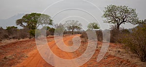 Landscape in Afrika, on safari in Kenya