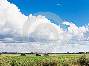 Landscape with agrarian field and blue sky