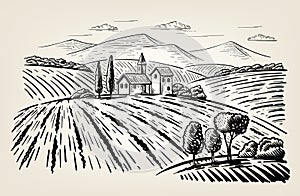 Landscape with agrarian fields