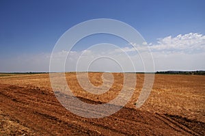 landscape of agricultural field