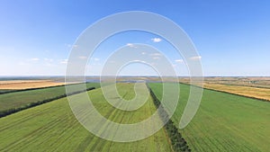 Landscape of agricultural grounds on blue sky background, aerial video